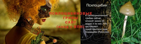 прущая мука Армянск