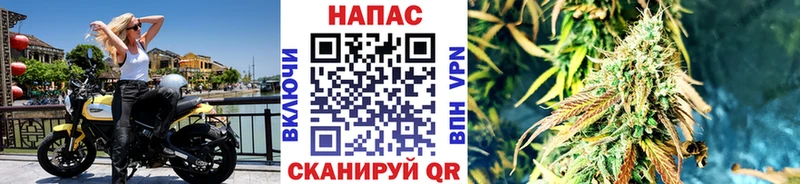 дарнет шоп  mega маркетплейс  Канабис Amnesia  Очёр 